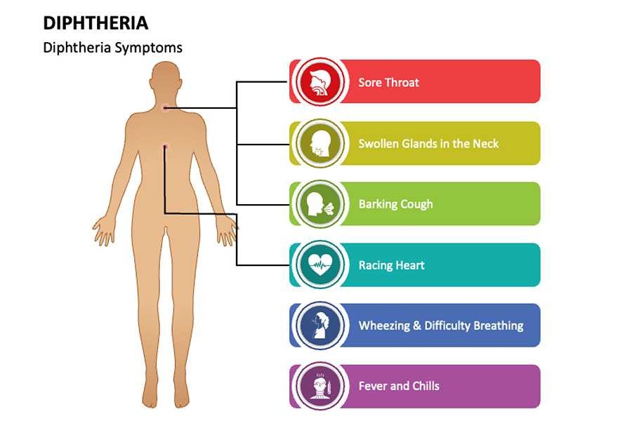 Diagram of the smptoms of diphtheria