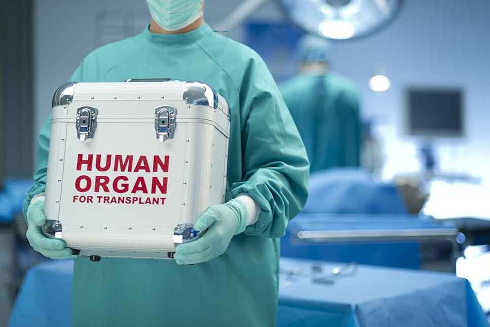 Organ transplant